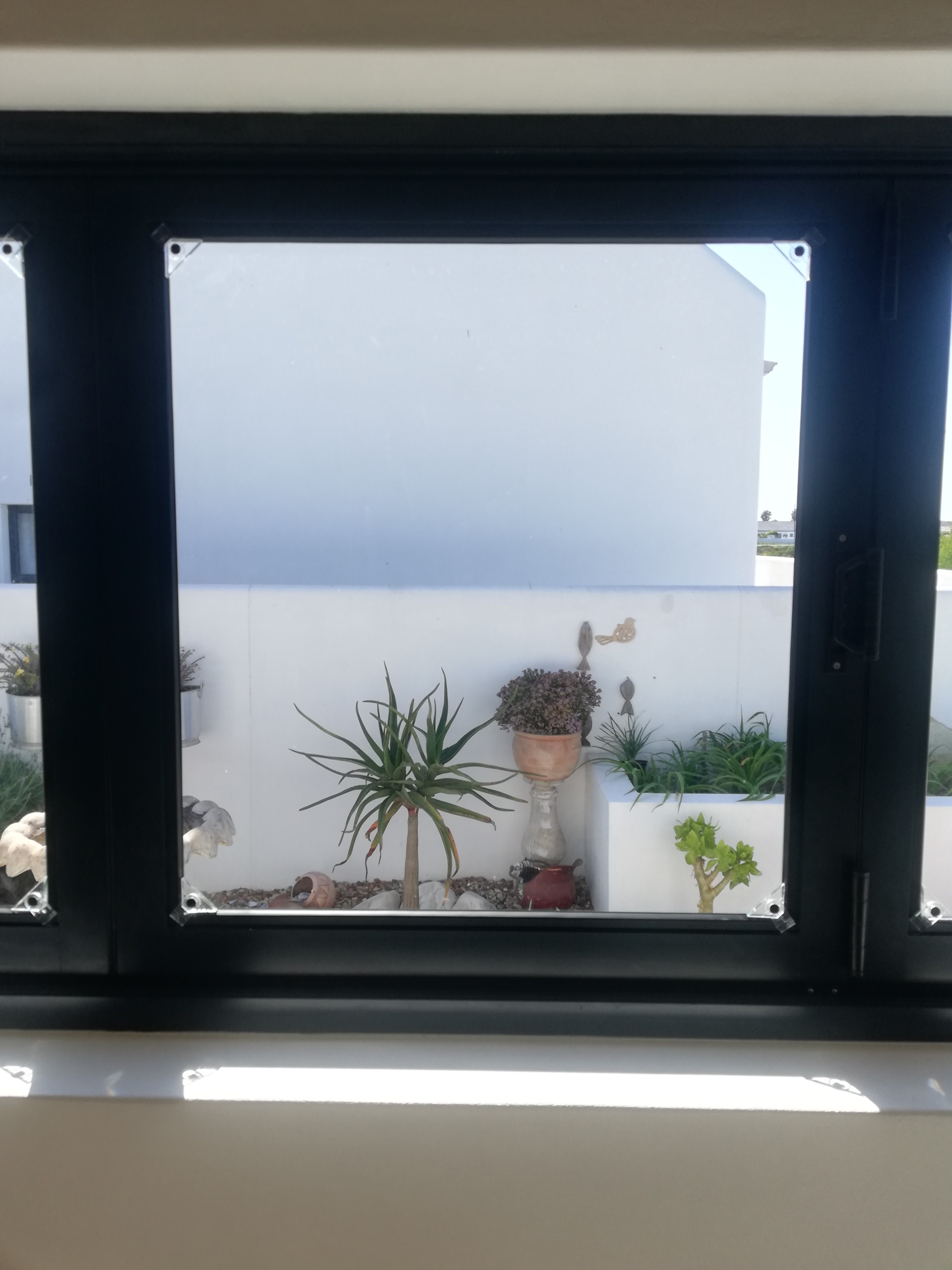 Home - WindoGripper